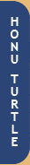 Honu Turtle tab